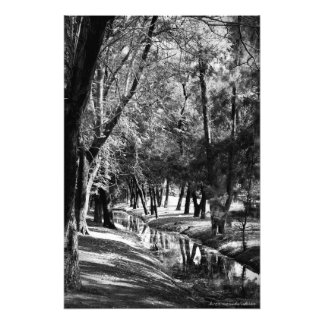Fotofoto's parkeren Stroom B&W Foto Afdruk