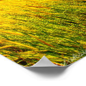 Fotofoto's van "New Life in Eden" Afdrukken Poster (Hoek)