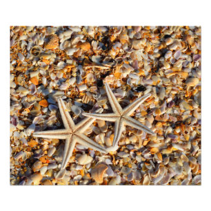 Fotofoto's van Starfish en Seashells Foto Afdruk