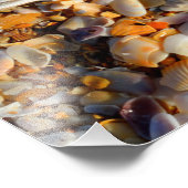 Fotofoto's van Starfish en Seashells Foto Afdruk (Hoek)