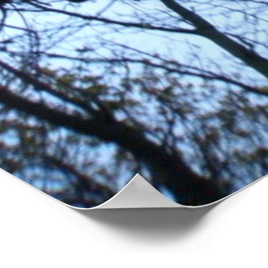 Fotofoto's van structuur Silhouette Poster (Hoek)