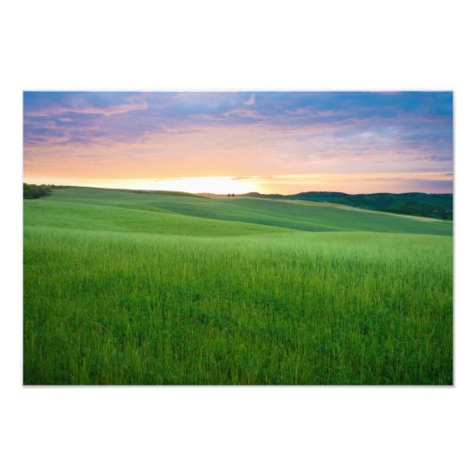 Fotofoto's van Toscane Foto Afdruk (Voorkant)