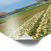 Fotofoto's van windmolen en tulpen foto afdruk (Hoek)