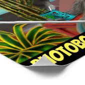 Fotogebombardeerd in Ajo Arizona, Arizona Briefkaa Poster (Hoek)