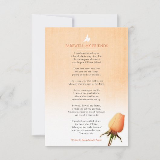 Fotogedicht voor oranje roos (Achterkant)