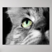 Fotogene kat poster (Voorkant)