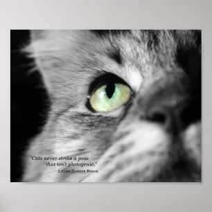 Fotogene kat poster