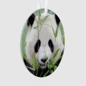 Fotogigant panda, dieren 0291. ornament (voorkant)