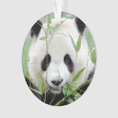 Fotogigant panda, dieren 0291. ornament (voorkant)