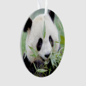 Fotogigant panda, dieren 0292. ornament (voorkant)