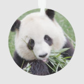 Fotogigant panda, dieren 0292. ornament (achterkant)