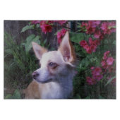 Fotoglazen snijmachine/Charcuterie Board Snijplank (Voorkant)