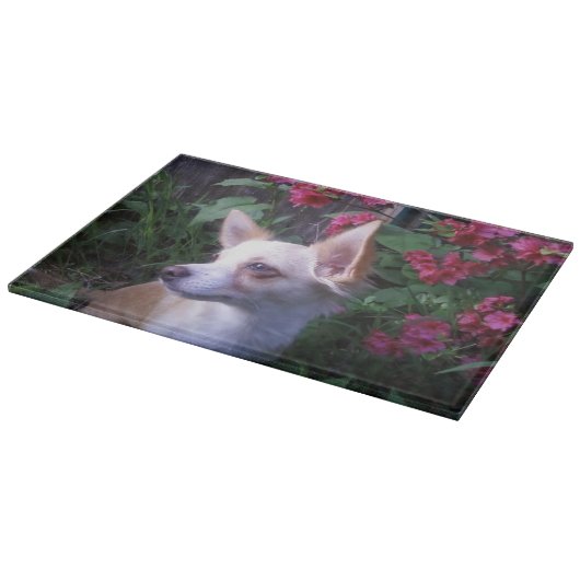 Fotoglazen snijmachine/Charcuterie Board Snijplank (Hoek)