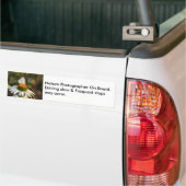 Fotograaf aan boord van Bumpersticker (Op Truck)
