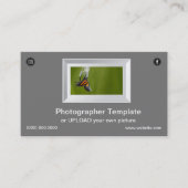 Fotograaf afbeelding Lijst Monarch Butterfly Visitekaartje (Voorkant)