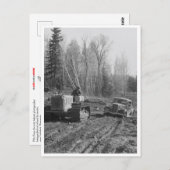 Fotograaf die uit de maag wordt gesleept briefkaart (Voorkant / Achterkant)