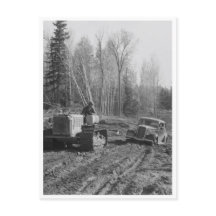 Fotograaf die uit de maag wordt gesleept