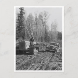 Fotograaf die uit de maag wordt gesleept briefkaart