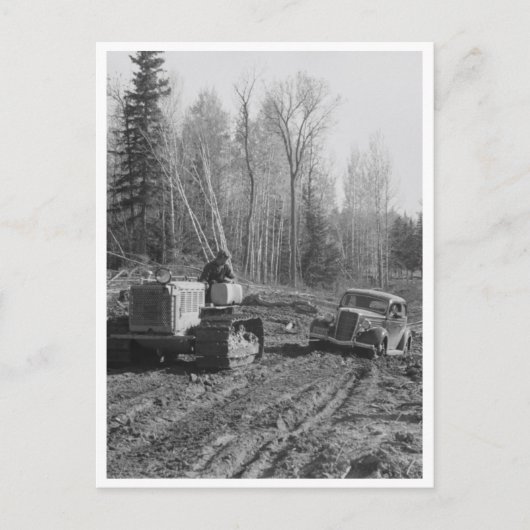 Fotograaf die uit de maag wordt gesleept briefkaart (Voorkant)