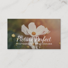 Fotograaf, fotografie, Visitekaartje