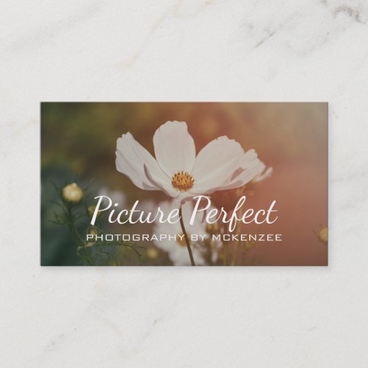 Fotograaf, fotografie, Visitekaartje (Voorkant)