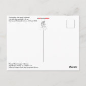 Fotograaf met camera geschorst van haak briefkaart (Achterkant)