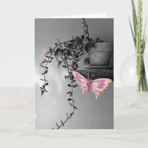 Fotograaf van kleurenplasma-vlinder kaart