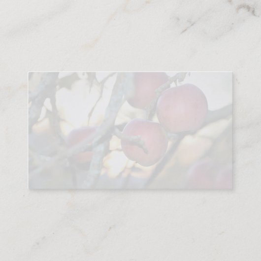 Fotograaf Visitekaartje Watermerk Foto (Achterkant)