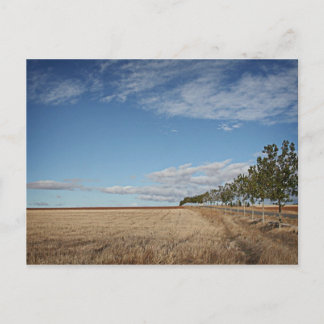 fotografias del Camino de santiago Briefkaart