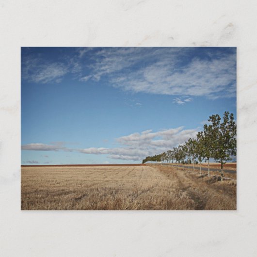 fotografias del Camino de santiago Briefkaart (Voorkant)