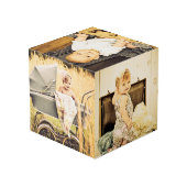 Fotografie Aangepast gemaakt 5-serie Fotozides Kubus (Achter hoekig)