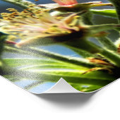 Fotografie bij bijen en wit foto afdruk (Hoek)