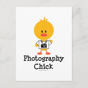 Fotografie Chick Briefkaart
