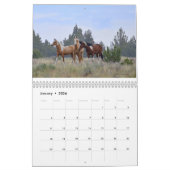 Fotografie door Carolyn, kalender voor wilde paard (Jan 2026)