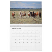 Fotografie door Carolyn, kalender voor wilde paard (Feb 2026)