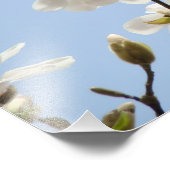 Fotografie Floral art prints Magnolia Flowers Foto Afdruk (Hoek)