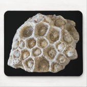 Fotografie Fossilized Coral Rock Natuur Muismat (Voorkant)