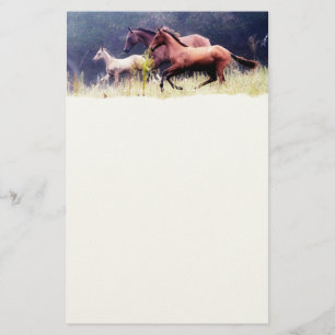 Fotografie galoping paarden briefpapier