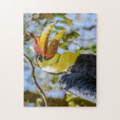 Fotografie: gekreukte vogelpest in bomen legpuzzel (Verticaal)