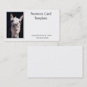 Fotografie Het glimlachen Donkey Visitekaartje (Voorkant / Achterkant)