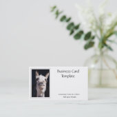 Fotografie Het glimlachen Donkey Visitekaartje (Staand voorkant)