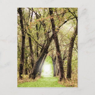 Fotografie "Het portaal" Briefkaart