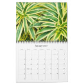 Fotografie in de Natuur kalender (Jan 2027)