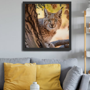 Fotografie in het wild Closeup of Bobcat Poster