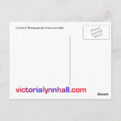 Fotografie "Junk Mail" Briefkaart (Achterkant)