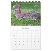 Fotografie kalenderjaar 2021 1 pagina per maand kalender (Mar 2026)