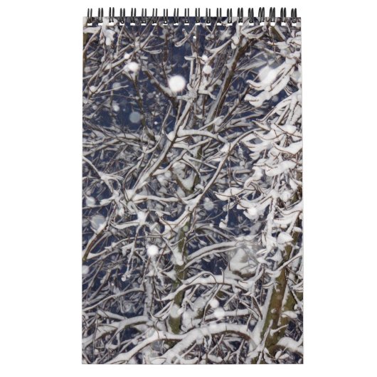 Fotografie kalenderjaar 2021 1 pagina per maand kalender (Hoes)