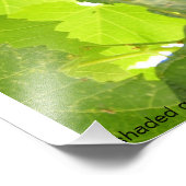 Fotografie met grijze grafieken foto afdruk (Hoek)