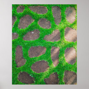 Fotografie met hoge hoek van het grasveld poster