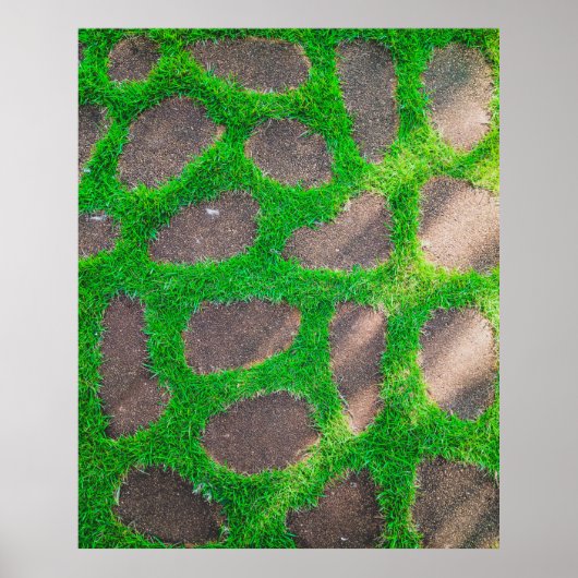 Fotografie met hoge hoek van het grasveld poster (Voorkant)